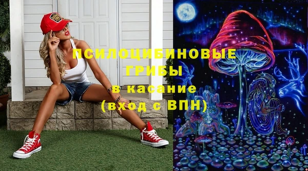 крисы Шадринск