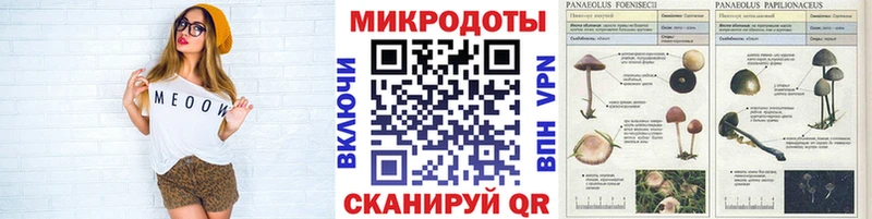 Псилоцибиновые грибы прущие грибы  блэк спрут как войти  Чебаркуль  где купить наркотик 