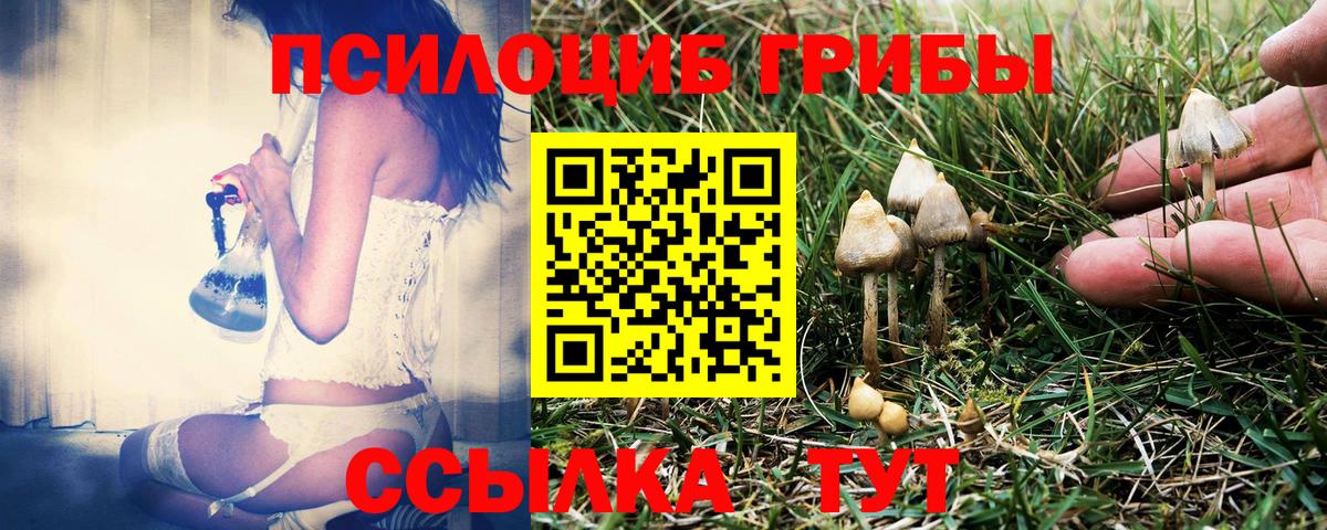 Псилоцибиновые грибы MAGIC MUSHROOMS Чебаркуль