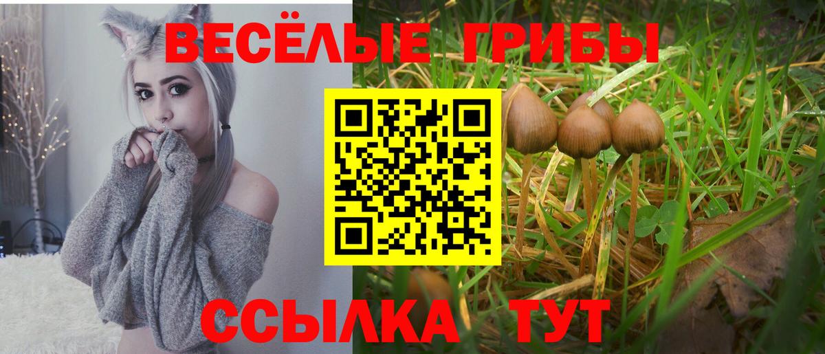 Чебаркуль  Псилоцибиновые грибы Psilocybine cubensis  Вход с VPN  Галлюциногенные грибы Psilocybe 